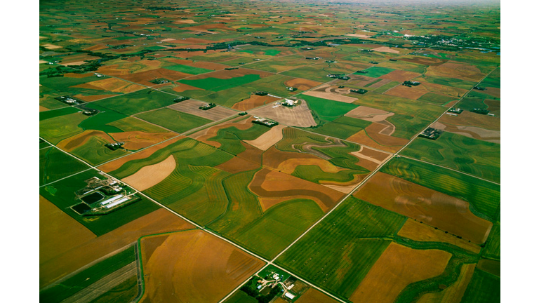 Agriculture
