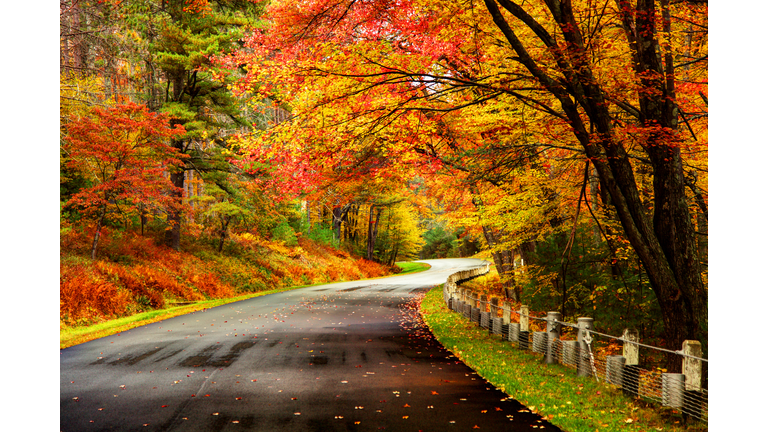 Autumn road in the Quabbin region of Massachusetts
