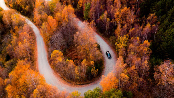 Tennessee Road Named 'Most Scenic Drive' In The Entire State