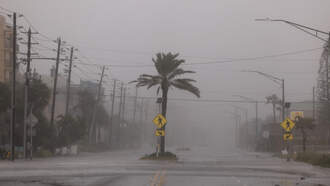 At Least 6 Dead, Millions Without Power After Helene Makes Landfall