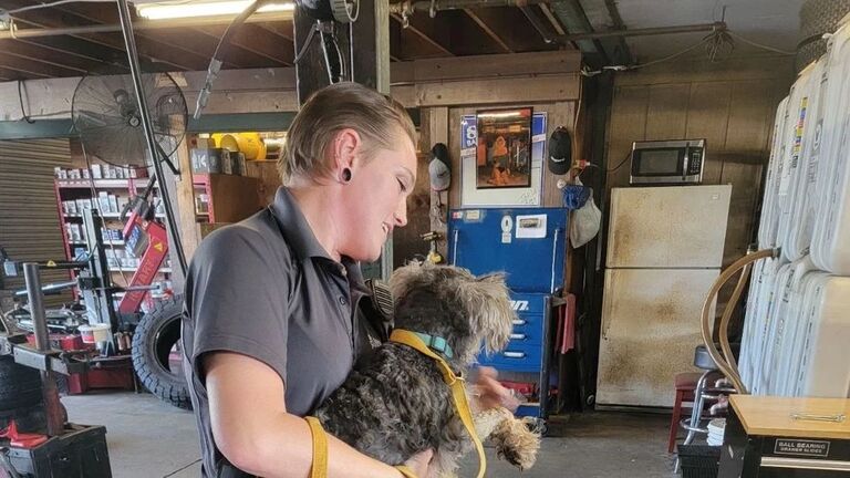 Mechanics Save Dog Trapped In Grill