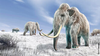 The Ambitious Plan to Revive the Woolly Mammoth by 2028