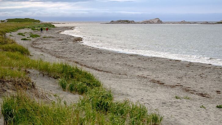 Experts Baffled by Bizarre Blobs Washing Ashore on Canadian Beaches