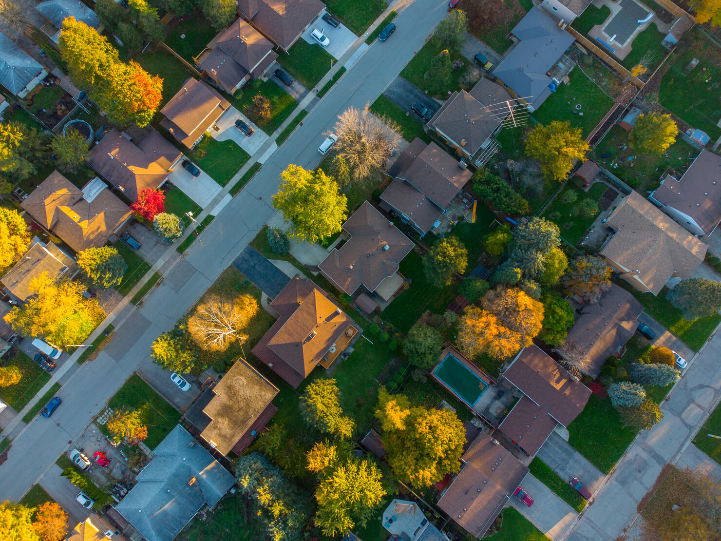 High angle view of trees and buildings in city,Canada