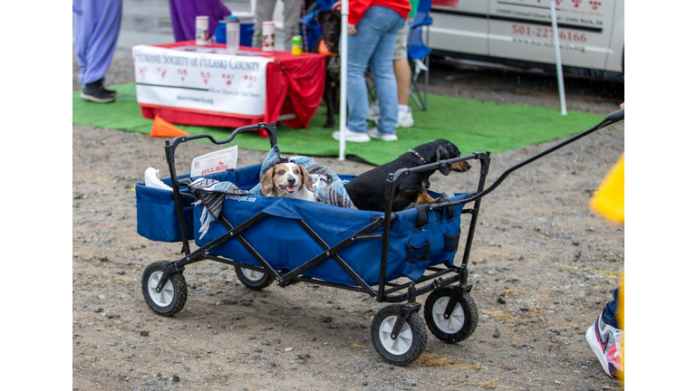 The 18th Annual Edge Chili Cookoff at the Arkansas State Fairgrounds