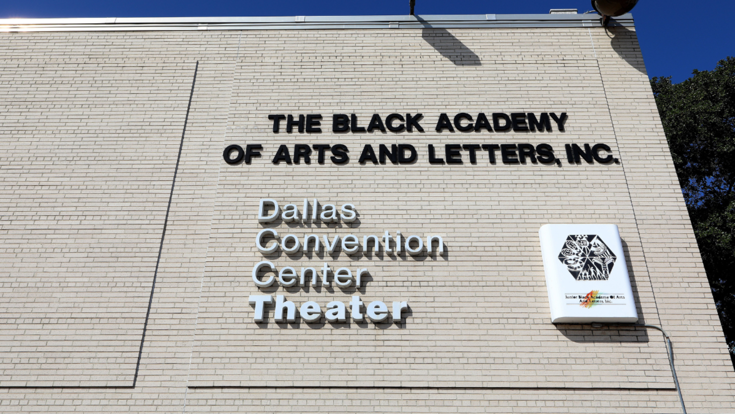 The Black Academy Of Arts & Letters