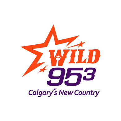 WILD 95.3 logo