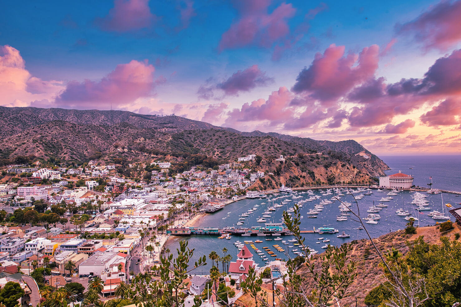 High angle view of townscape by sea against sky,Santa Catalina Island,California,United States,USA