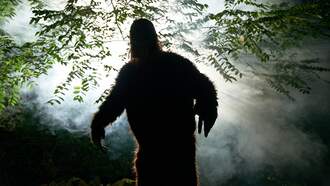 'Bardin Booger' Creature Seen Stalking Small Florida Town 