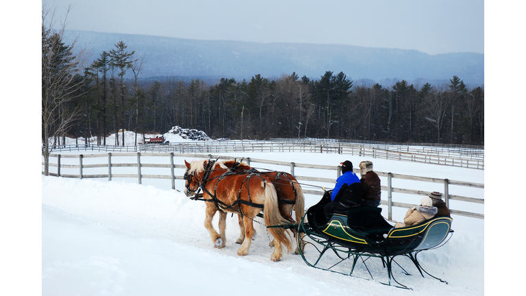 Dashing Through the Snow