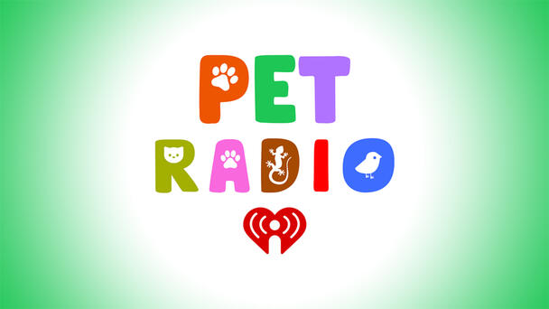 Calming Music To Relax Your Pets!