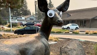 Video: Googly Eye Vandal Divides Oregon City 