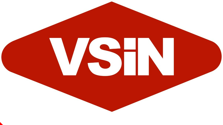 VSiN Logo