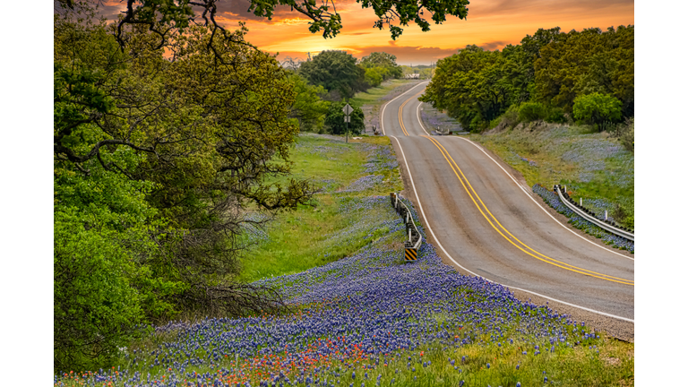 Sunset in the Hill Country with Bluebonnets