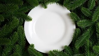 Belgian Government Cautions Residents Against Eating Their Christmas Trees