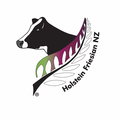 Holstein Friesian New Zealand