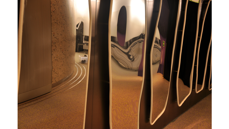 Distorted / Distorting Mirror