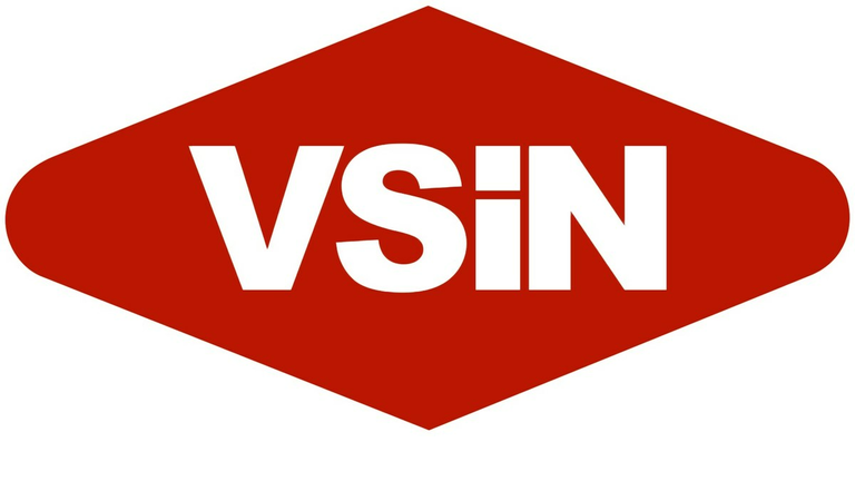 VSiN Logo