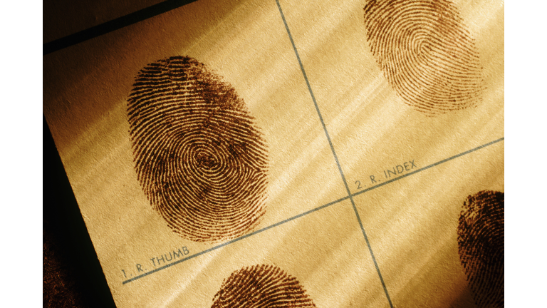 Fingerprints Chart