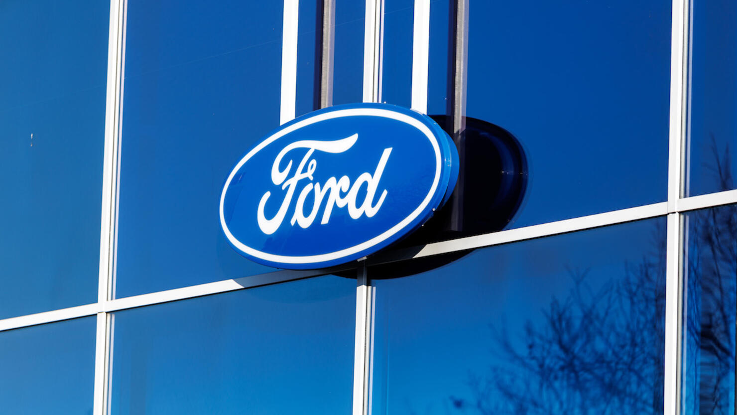 Ford logo on a branch