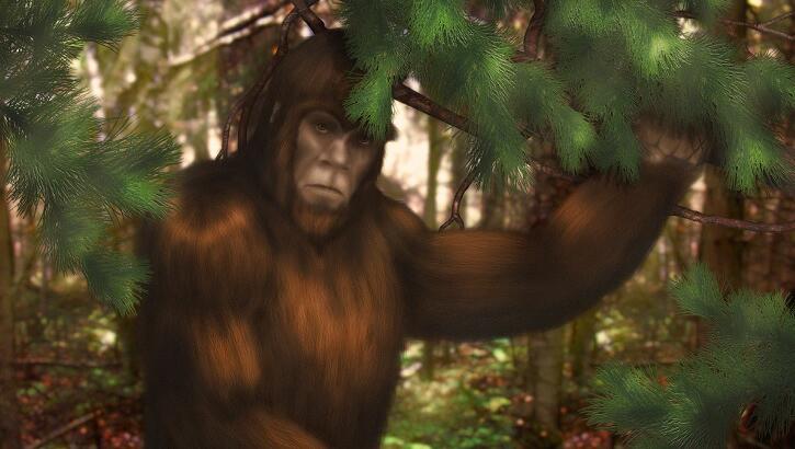 Watch: Bigfoot Filmed Near Colorado River?