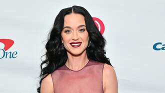 Katy Perry Shares Sweet New Details About 'Extrovert' Daughter Daisy