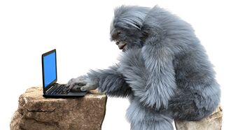 'Yeti' Nixed as Possible NHL Team Name