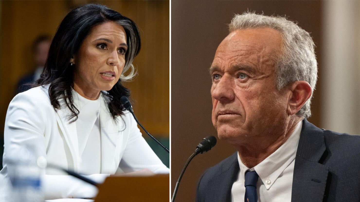 Tulsi Gabbard, Robert F. Kennedy Jr.