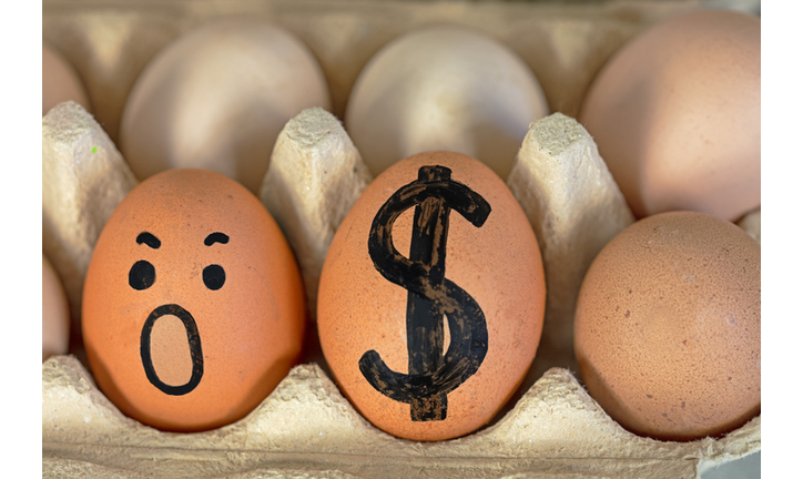 simple brown eggs with a painted dollar and a frightened face in an egg container. Economic crisis, rise in price. horizontal