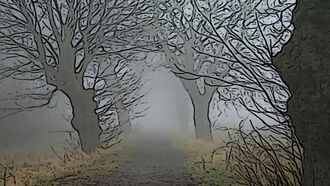 Fog harvesting could provide water for arid cities