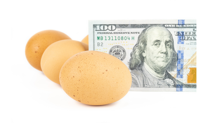 Eggs and Dollar on White Background