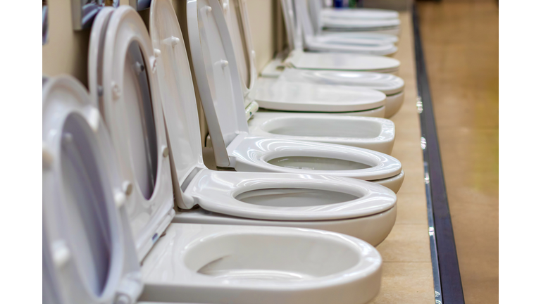 Exhibition of various toilets in the market