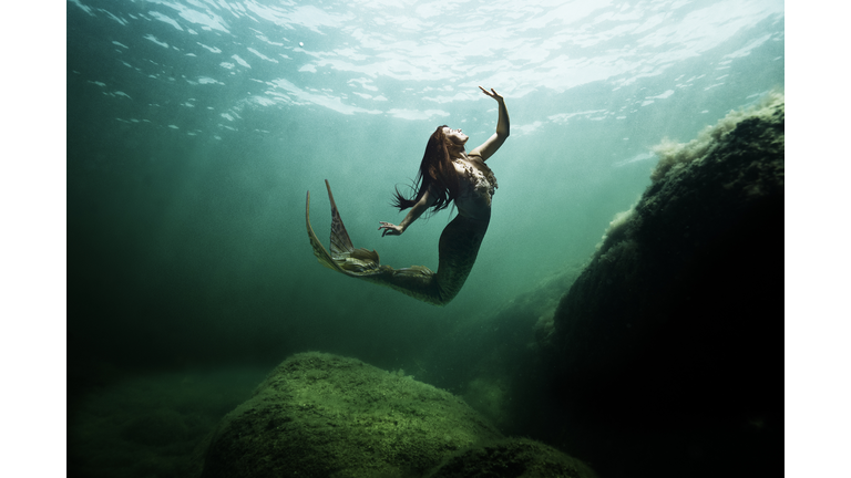 Mermaid in the ocean