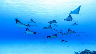 Giant structure discovered deep beneath Bermuda is unlike anything else on Earth