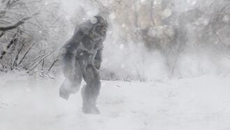 Ohio Man Finds Trail of Bigfoot Tracks?