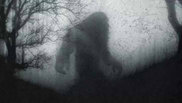 Watch: Argentina's Bigfoot Filmed Running Across Field?