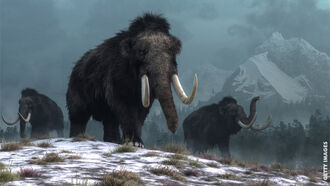 Woolly Mice Could Pave Way for Mammoth De-Extinction