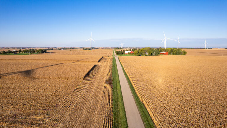 Wind Turbines in a  Corn Field