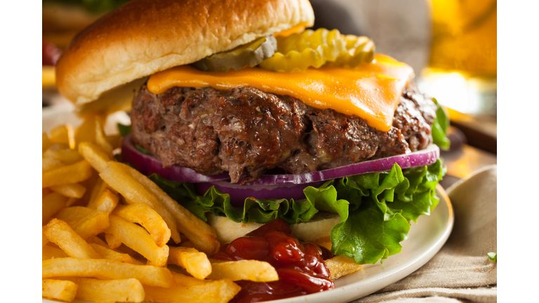 Grass Fed Bison Hamburger