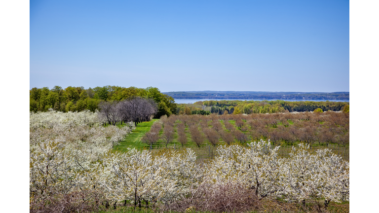 Traverse City in Springtime