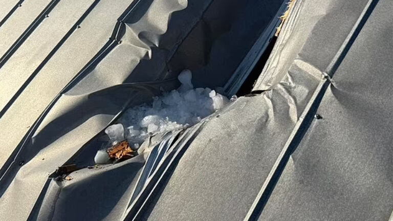 A chunk of ice crashed through a Florida family's roof