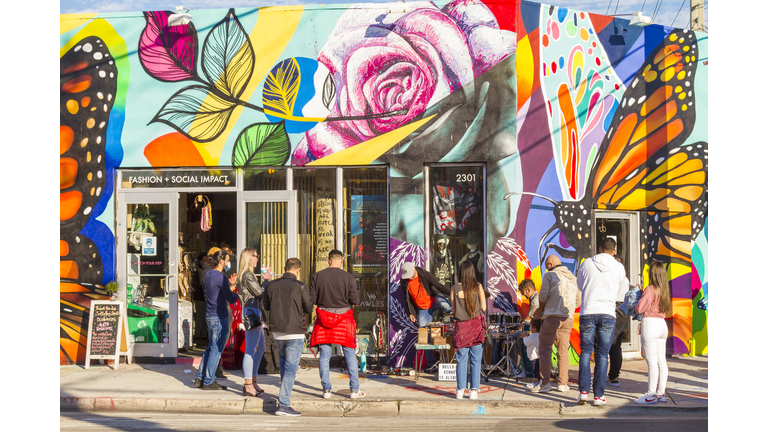 Wynwood Area, Miami, Florida, United States of America USA
