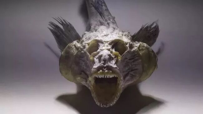 British Couple Finds 'Fiji Mermaid' on Beach