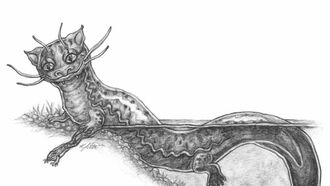 Illustrations of Smoky Mountain Legends