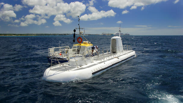 At Least 6 Dead After Tourist Submarine Carrying 40 Sinks