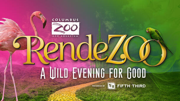 Don't miss RendeZoo at the Columbus Zoo!