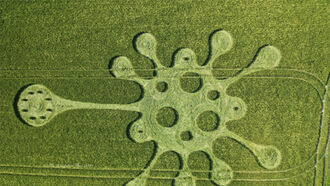 Patty Greer Crop Circle Photos