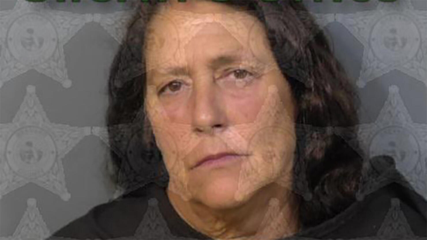 Mugshot of Donna Elkins, 59,
