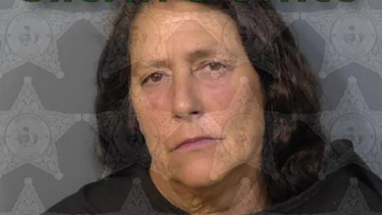 Mugshot of Donna Elkins, 59,