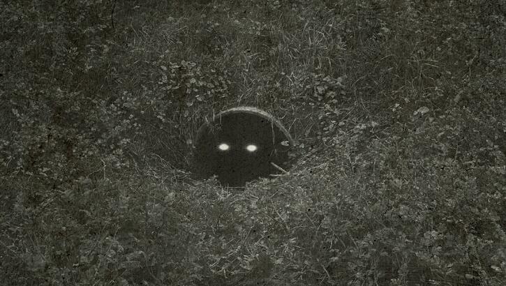 Video: Strange Mystery Creature Spotted in Kansas Divides Wildlife Experts